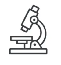 Science-Backed Actives