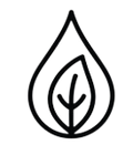 Sulfate-Free Formula